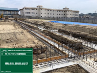 基礎背筋